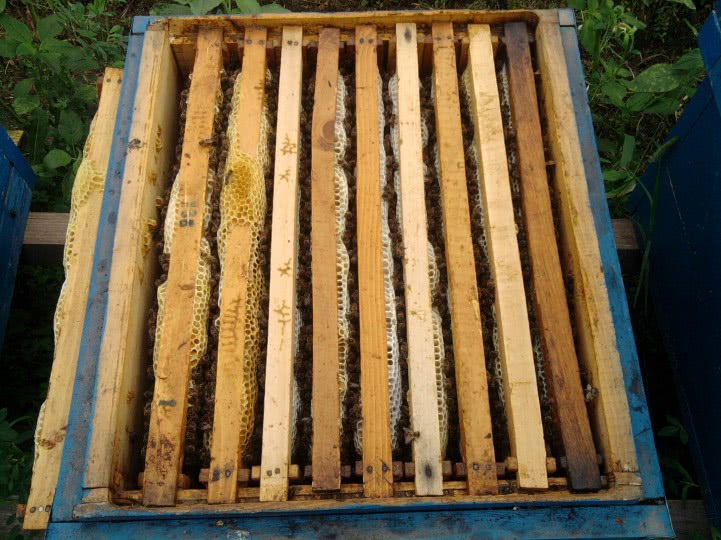 femei bistrita nasaud cu numar de telefon jpg femei bistrita nasaud cu numar de telefon