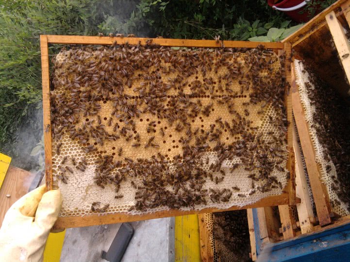 site uri matrimoniale online jpg site uri matrimoniale online