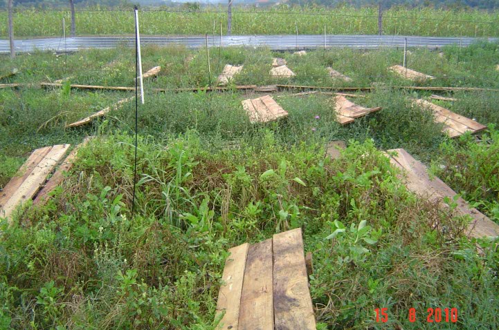 de ce creste tensiunea