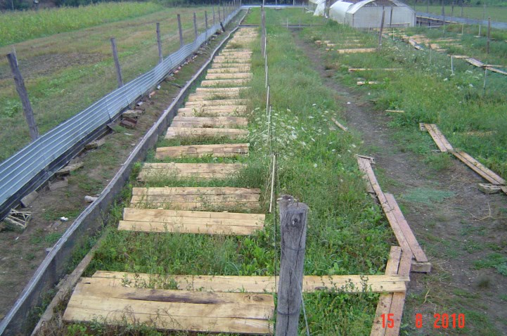 metode de crestere a penisului jpg metode de crestere a penisului