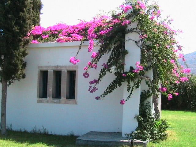 chat erotiche jpg chat erotiche