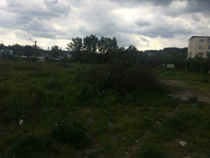 public 24 cluj matrimoniale