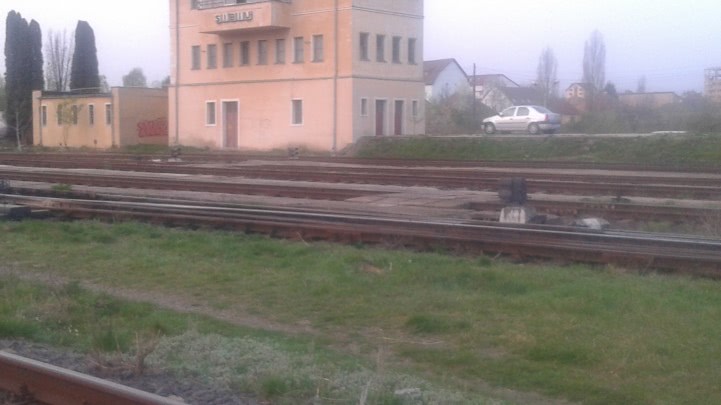 sex an tren jpg sex an tren