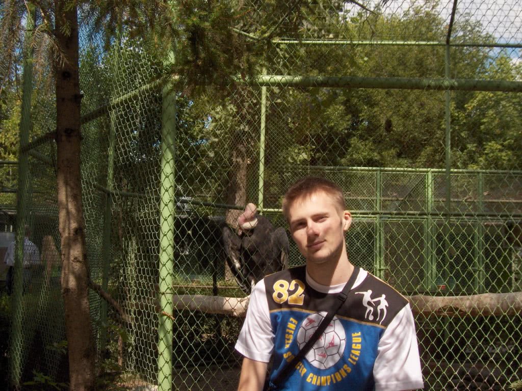 chat live bet365 jpg chat live bet365