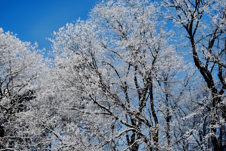 relatie discreta galati