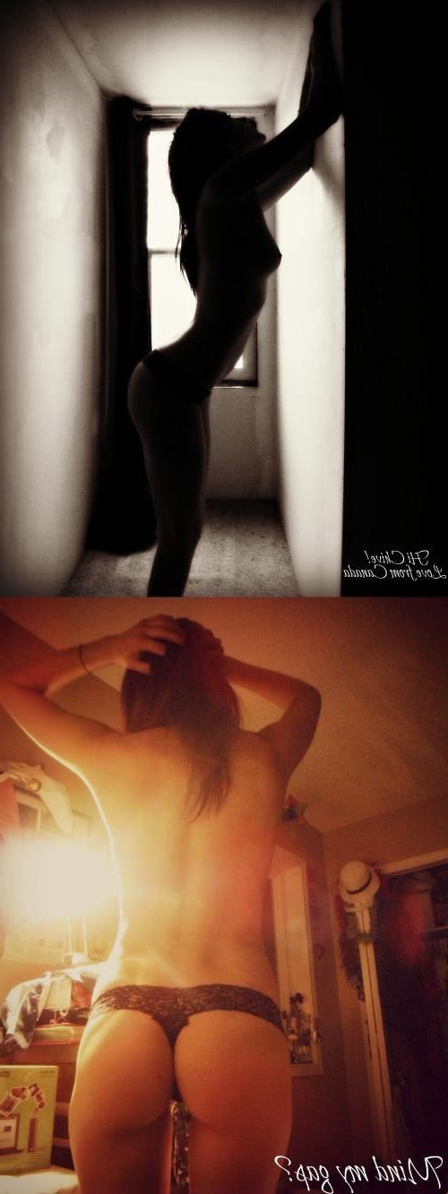 escorte brasov iasi jpg escorte brasov iasi