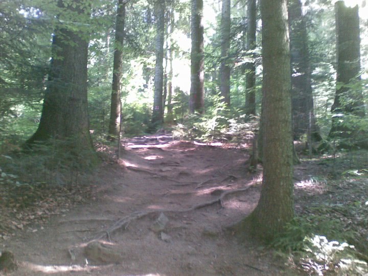 sex sex education jpg sex sex education