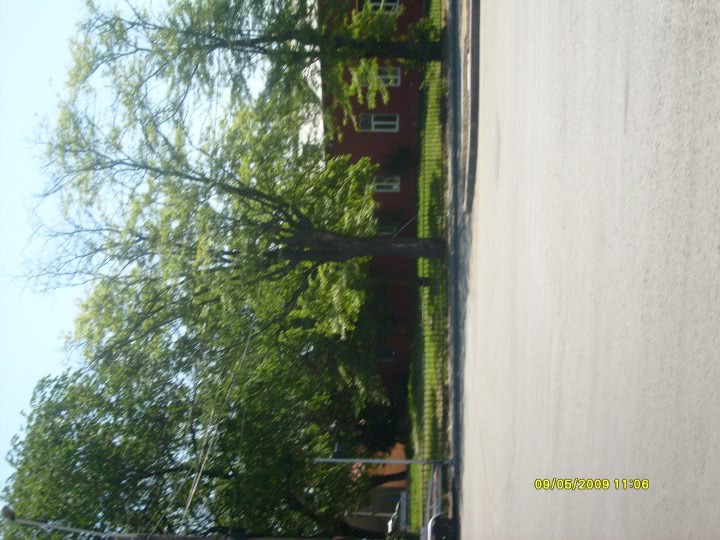 fete arad care fac sex