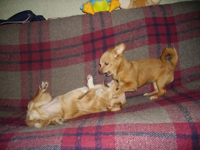 cluj erotic jpg cluj erotic