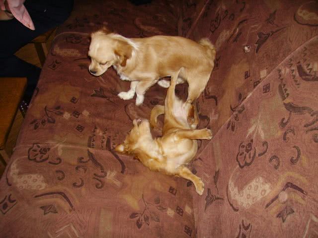 mother chat jpg mother chat