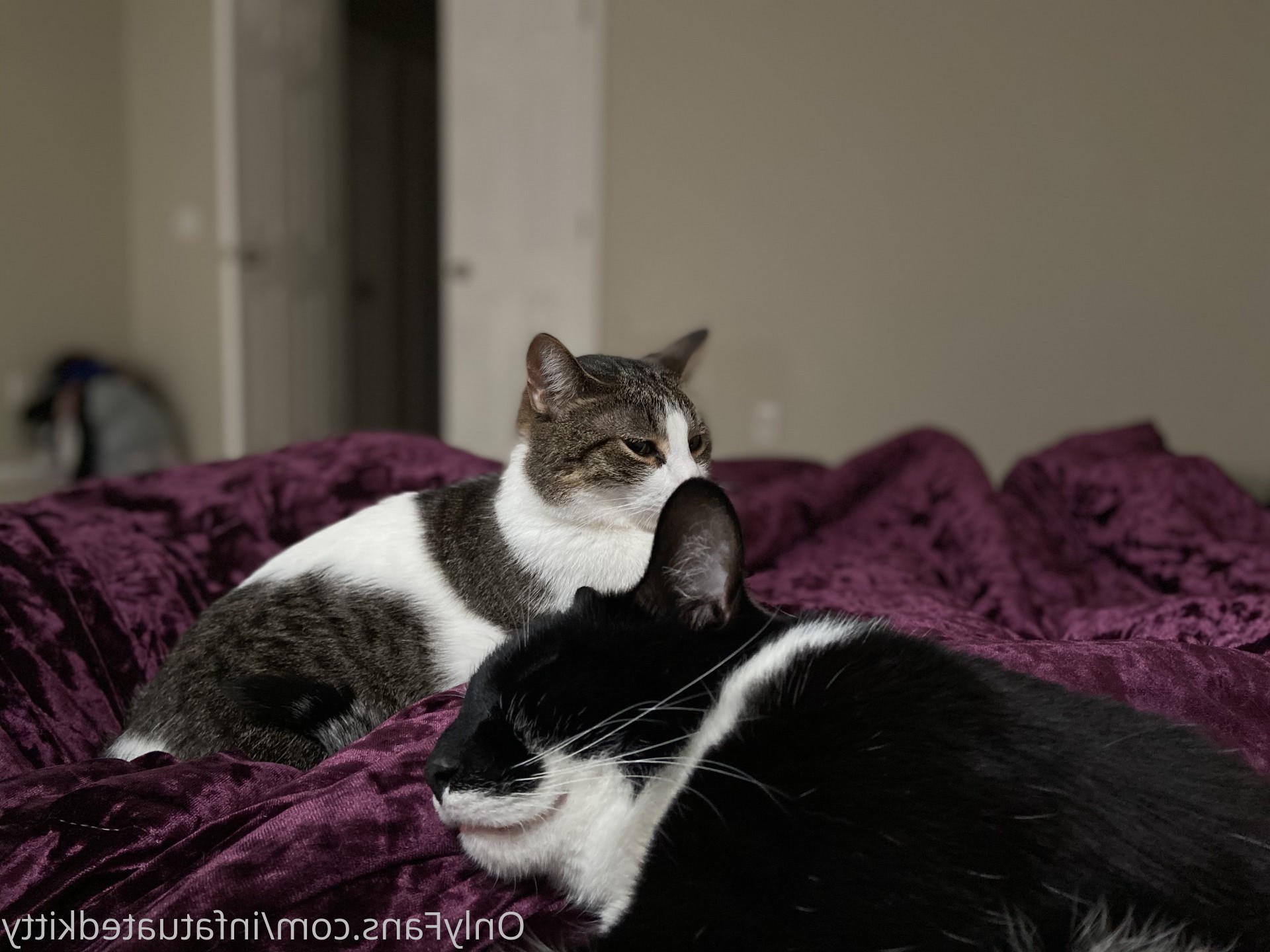 pitesti femei frumoase dezbracate jpg pitesti femei frumoase dezbracate