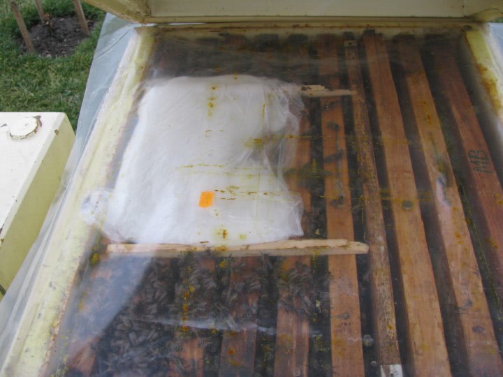 caut fata pentru relatie serioasa jpg caut fata pentru relatie serioasa