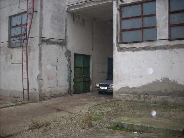 sex bestial jpg sex bestial