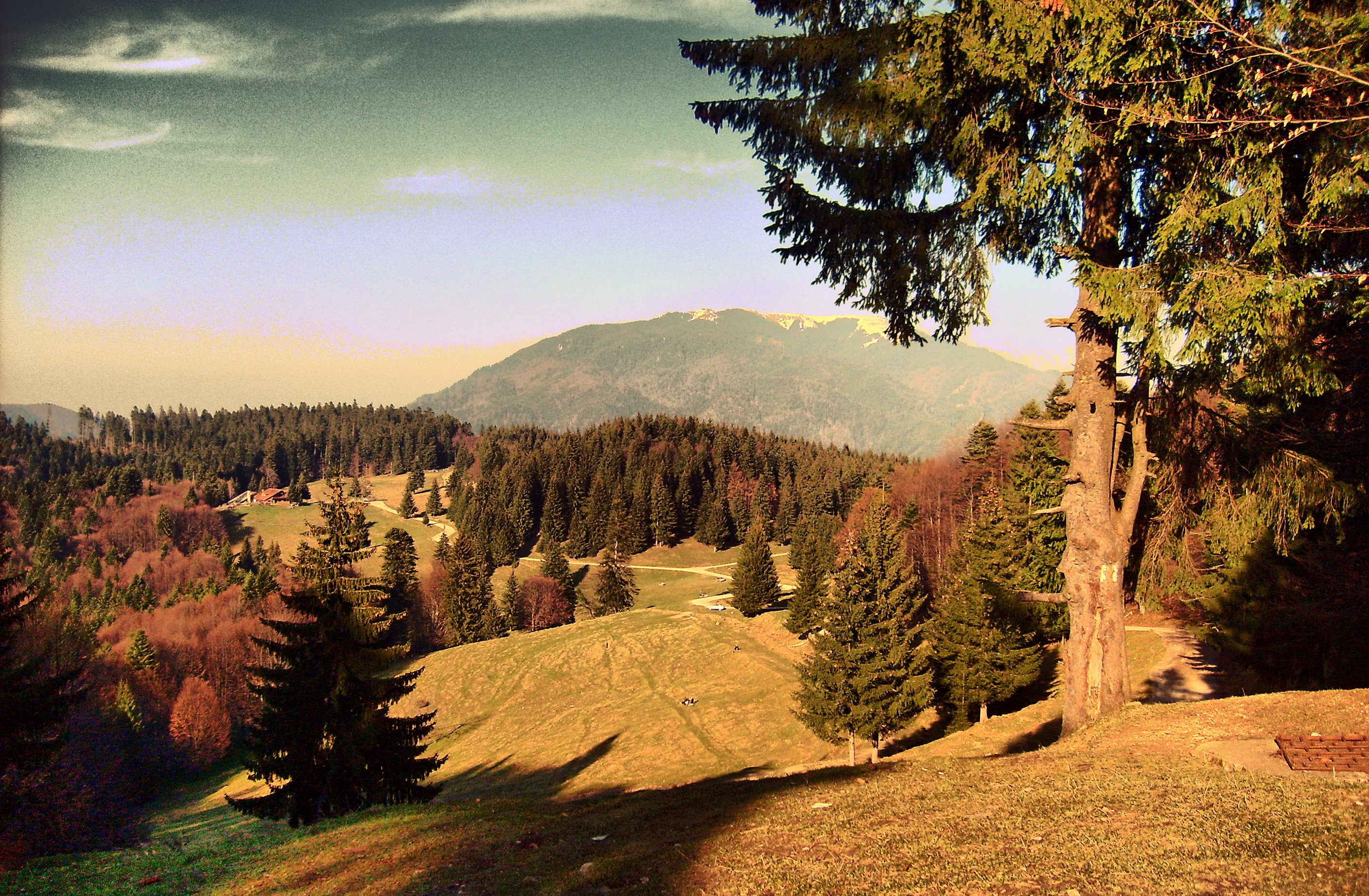 sex chat up lines for boy jpg sex chat up lines for boy