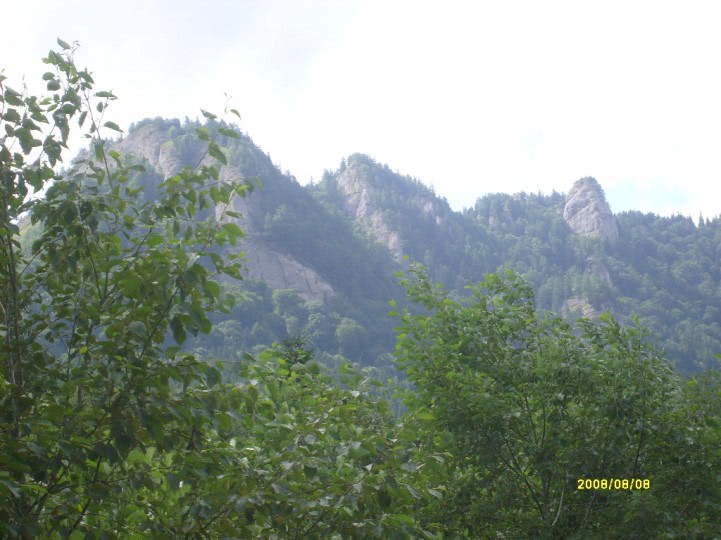 ziarul monitorul de vaslui