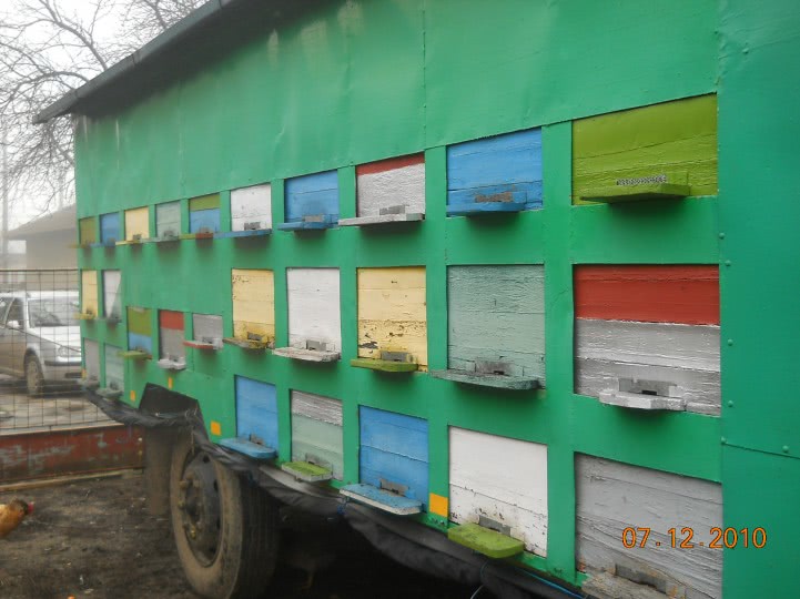 durerea de picioare jpg durerea de picioare