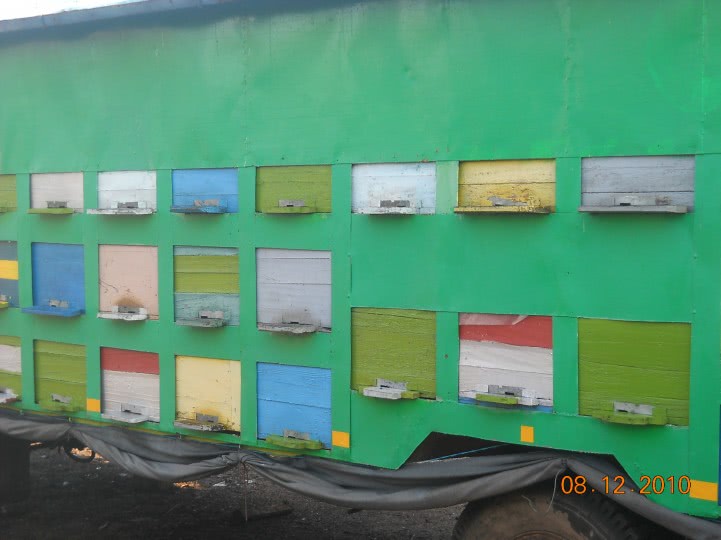 sex ro cluj jpg sex ro cluj