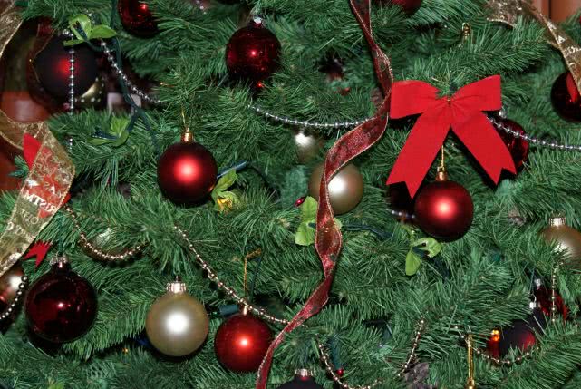 elmanz ro jpg elmanz ro