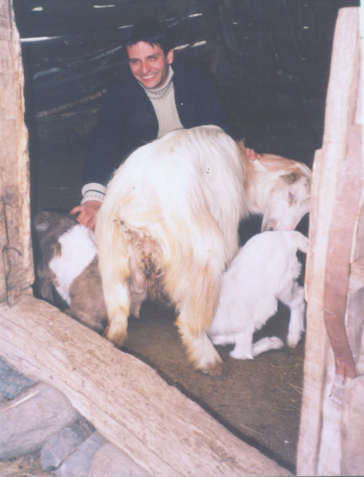 caineni rumania jpg caineni rumania