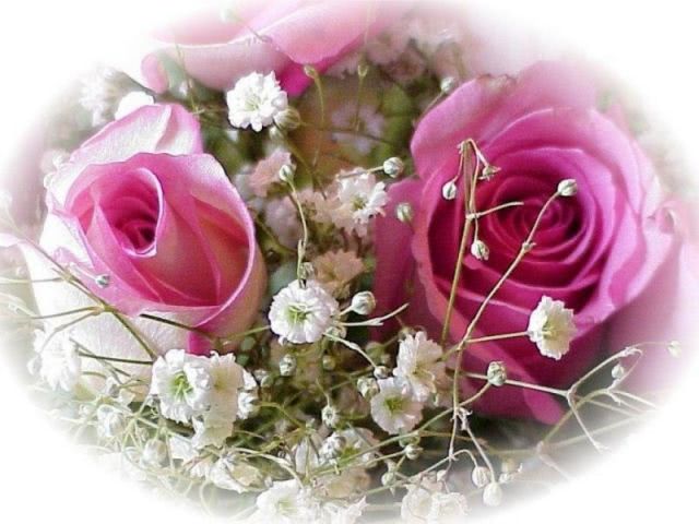 Flowers 045 jpg Flowers 045