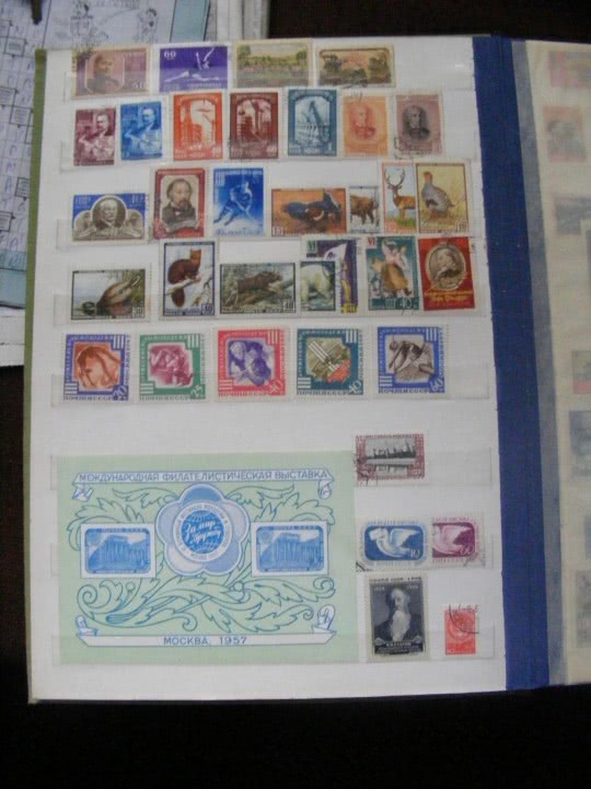 sex online gay jpg sex online gay