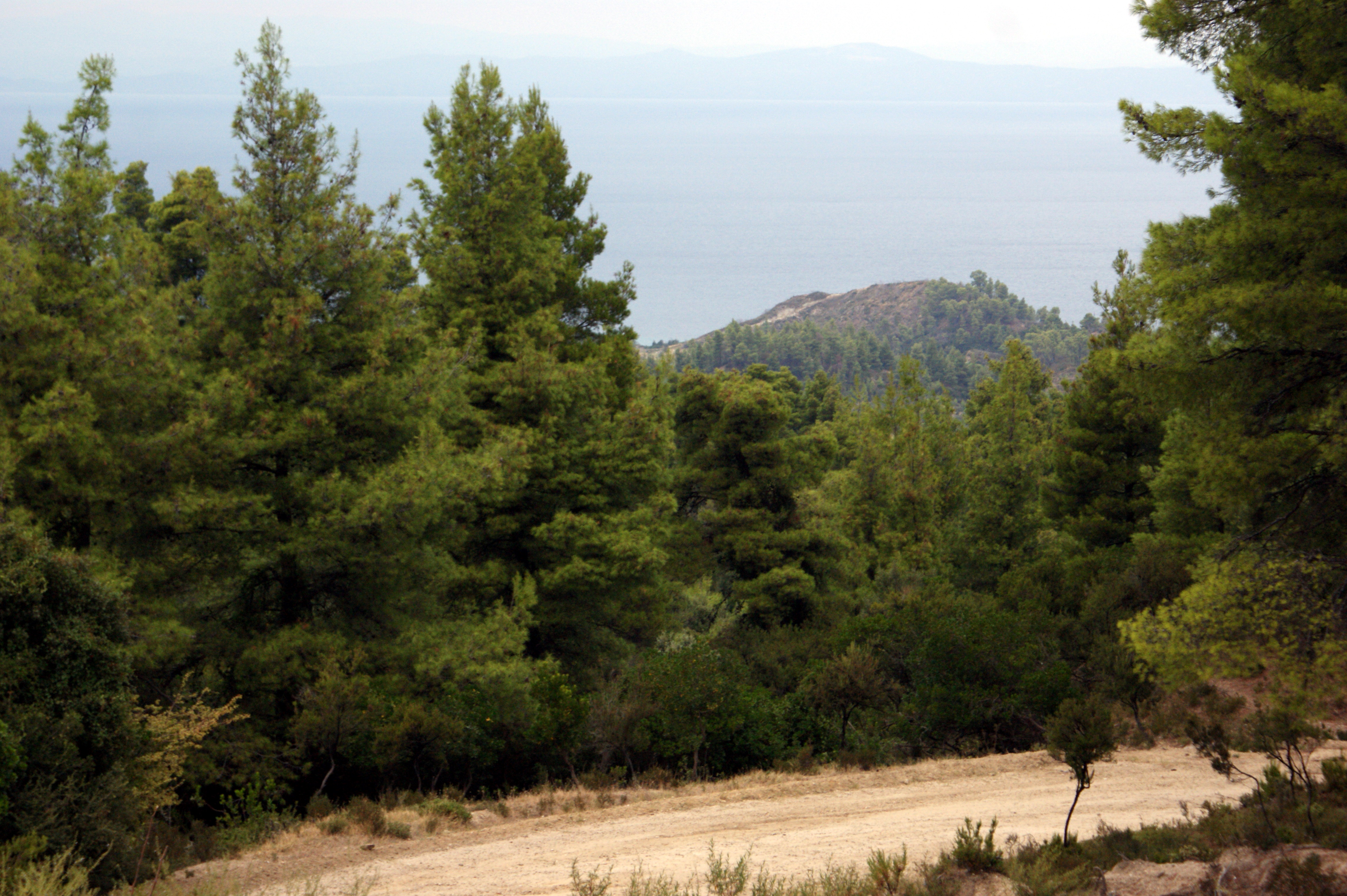 online free chat room jpg online free chat room