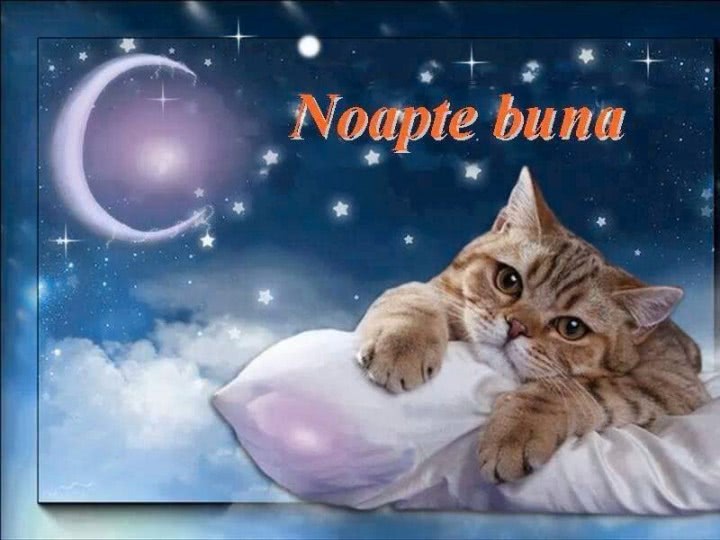 matrimoniale cluj matura jpg matrimoniale cluj matura