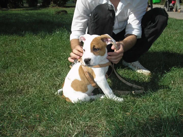 fete singure din chisinau