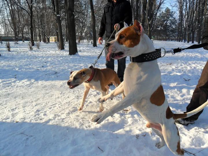 numere de telefon baieti