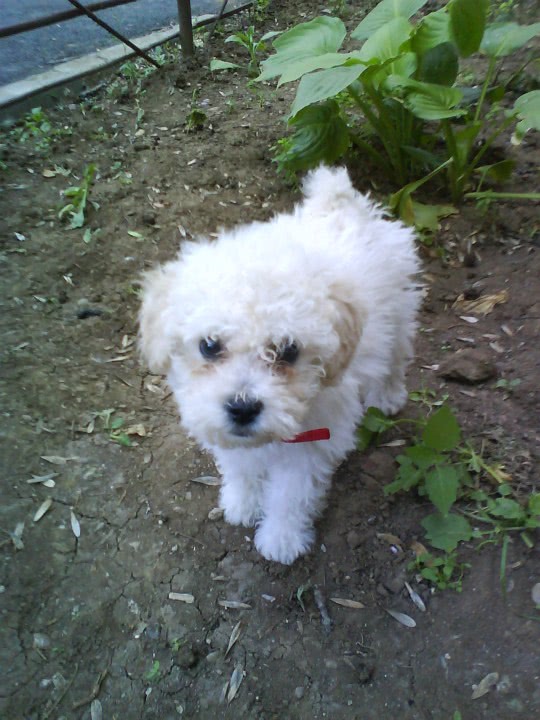 lidocaine sex spray jpg lidocaine sex spray