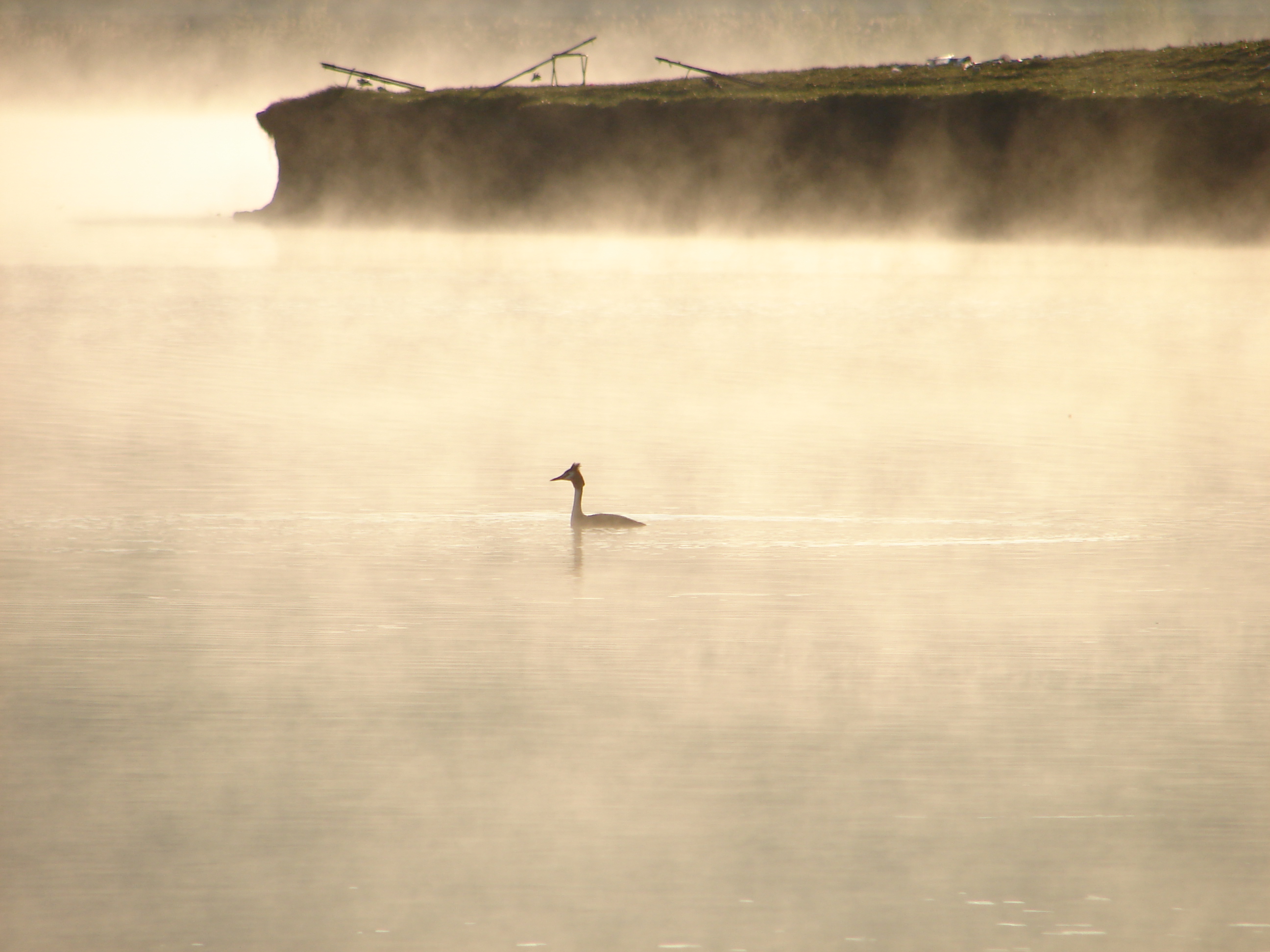 fete singure care cauta iubit oradea jpg fete singure care cauta iubit oradea