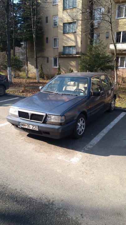 escorte ro timișoara