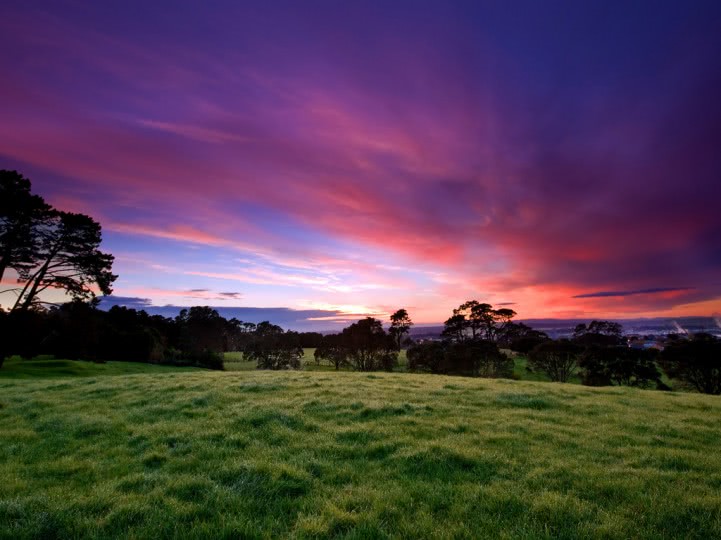 free sex tsat jpg free sex tsat