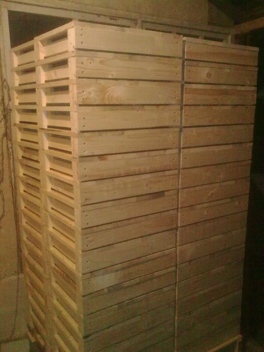 fete bune se fut bine