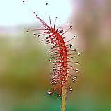 siteuri lesbi jpg siteuri lesbi