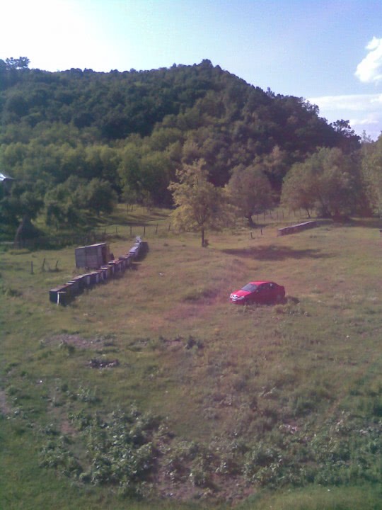 anunturi doamne mature jpg anunturi doamne mature