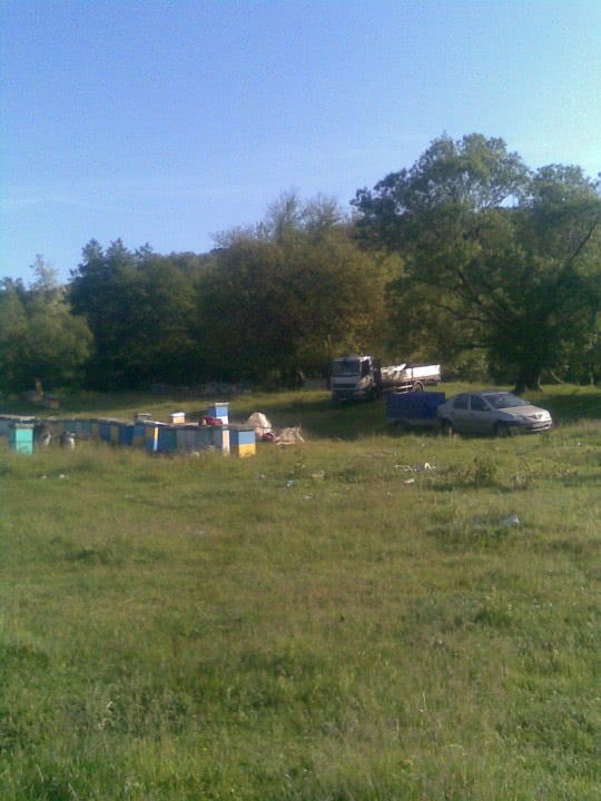 escorte sibiu pret jpg escorte sibiu pret