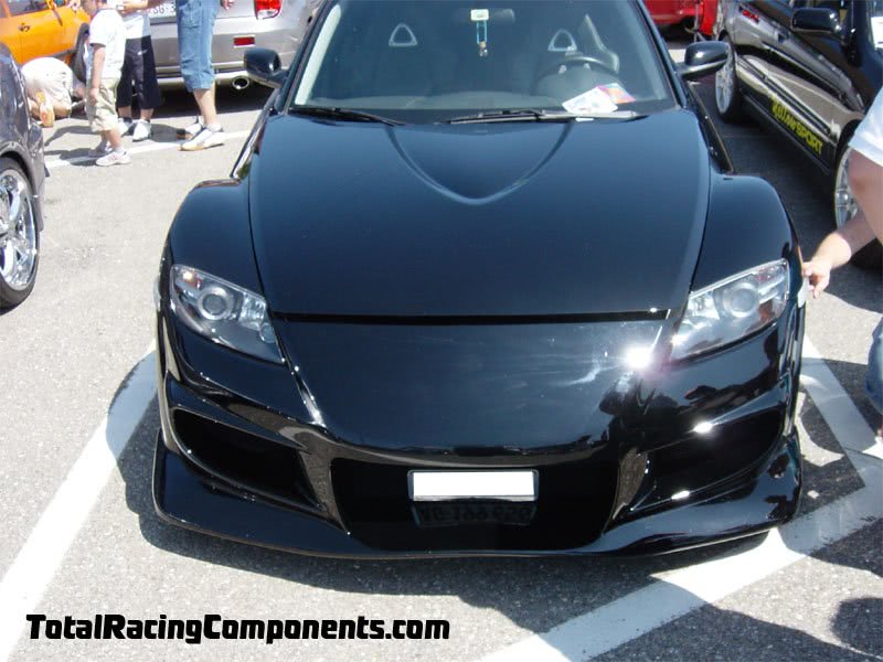 gay homosexual jpg gay homosexual