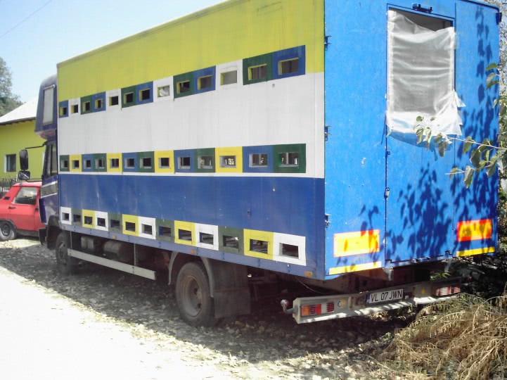 femei pentru barbati campina jpg femei pentru barbati campina