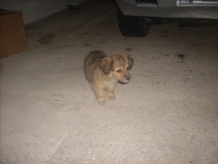 public 24 mizil jpg public 24 mizil