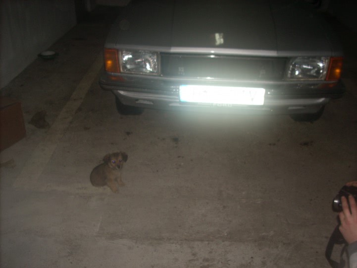 sedinta_dtv_068 jpg sedinta_dtv_068