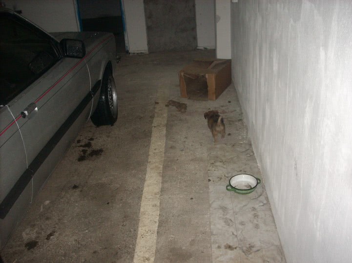 uractiv forte reactii adverse