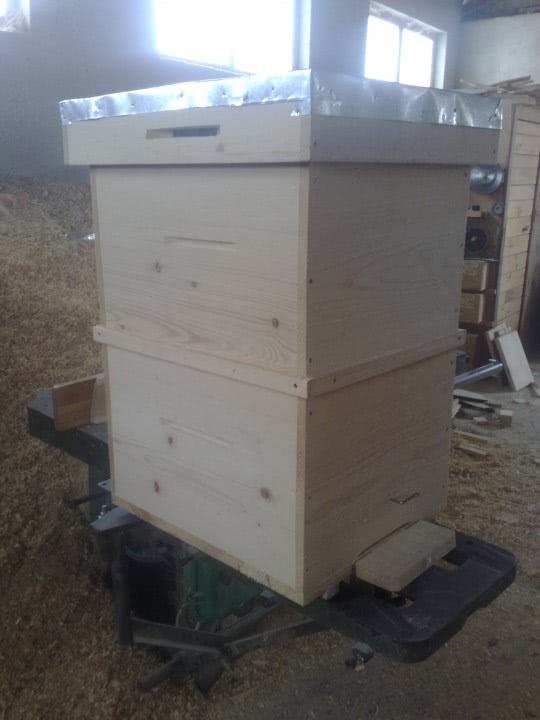 baieti singuri brasov