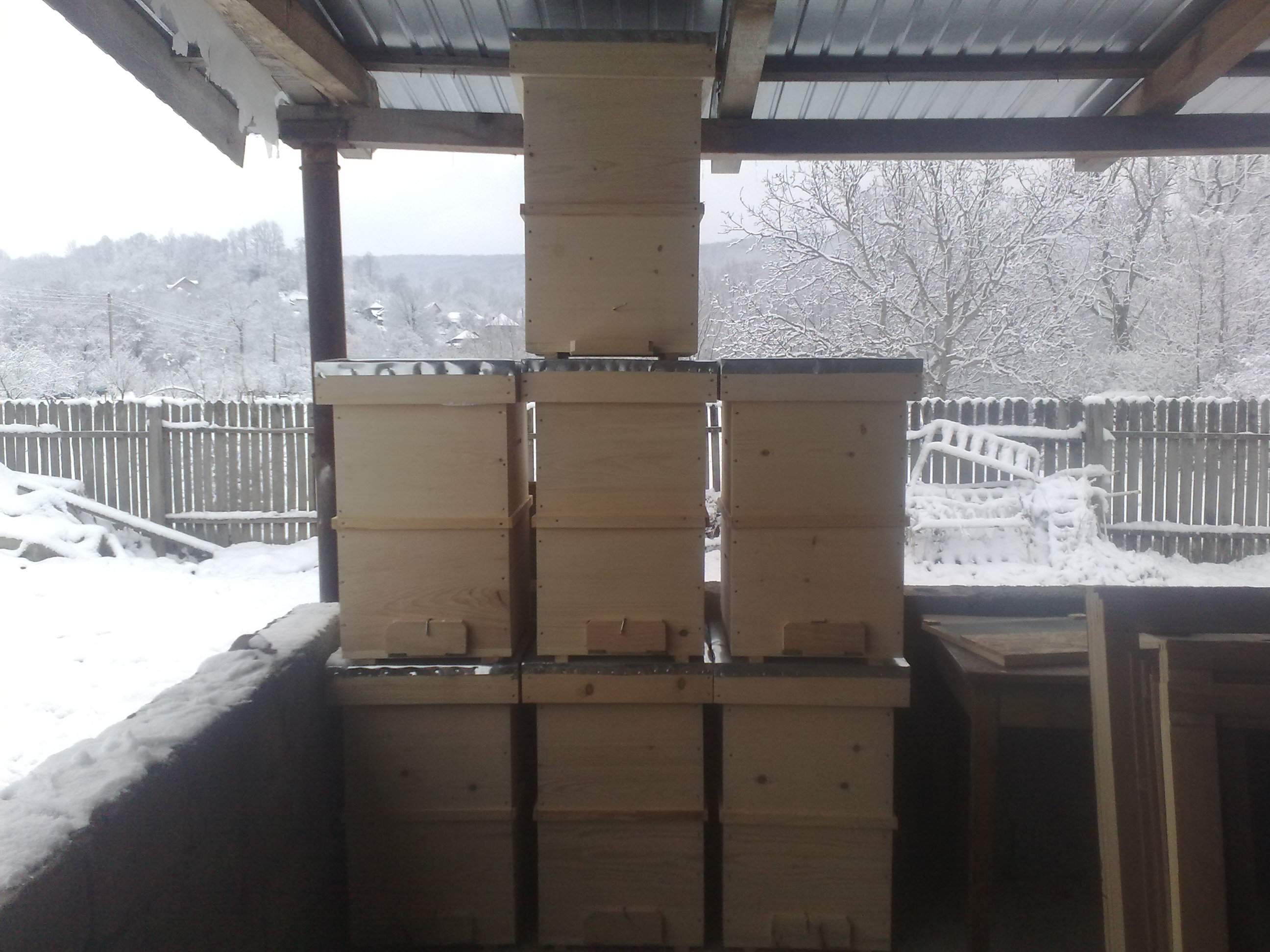 dames company jpg dames company