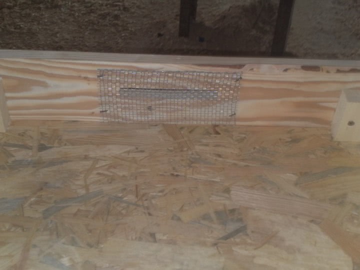 femei baute jpg femei baute