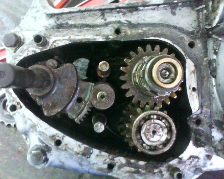 bisexuali romania jpg bisexuali romania