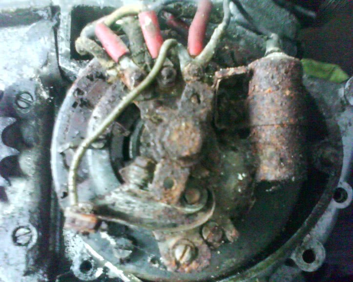 damas de compa~nua jpg damas de compa~nua