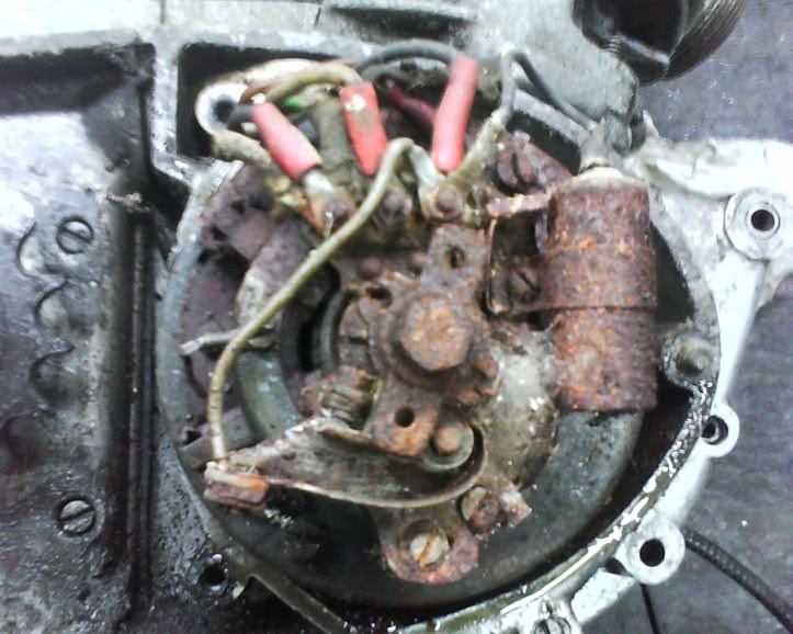 loona chat jpg loona chat