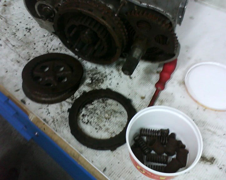 papusi sex jpg papusi sex