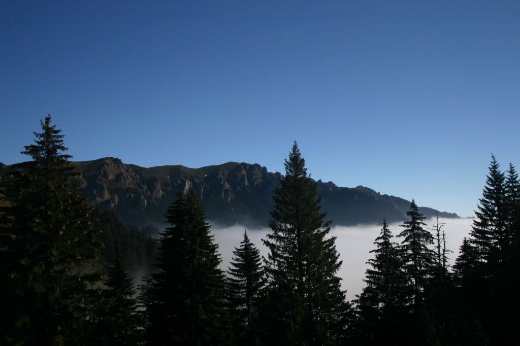 escorte din severin jpg escorte din severin